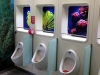 southamptontoilets